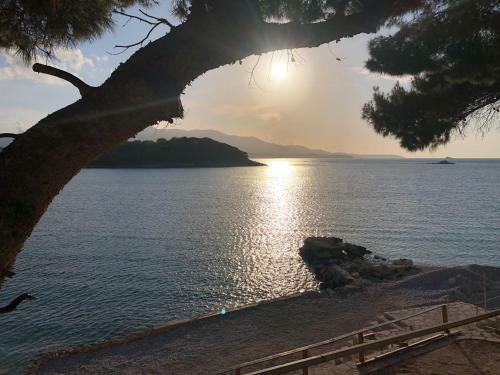 Apartamento Albania Hotel Tosi