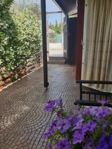 Small Cottage Asteria