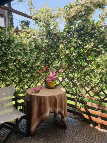 Small Cottage Asteria