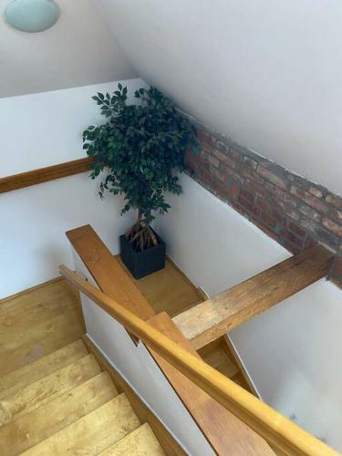 Apartamento Shabby Chick 3 Bedroom Mezonet With Balcony