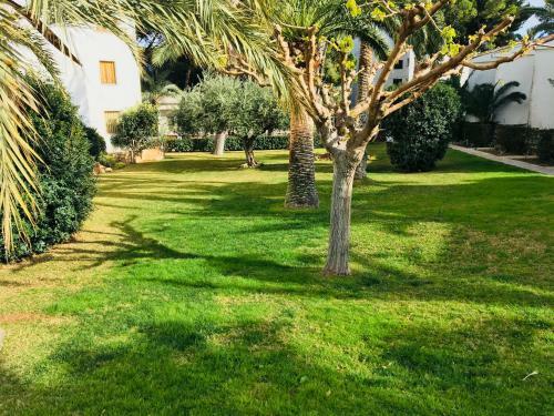 Apartamentos Tres Carabelas Altamar