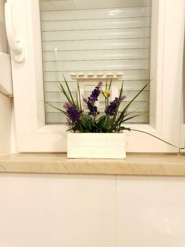 Orchid Seaview Apartment