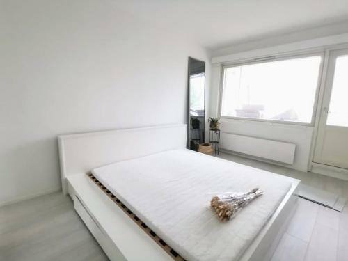 Apartamento City Style