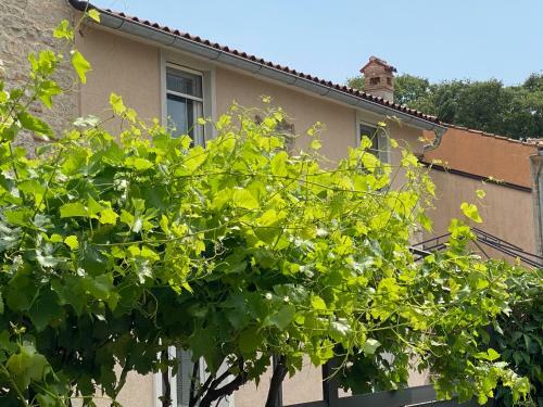 Apartamento Farfalle Di Valle