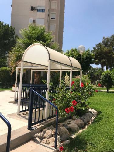 Apartamento Playa Dos Avenidas