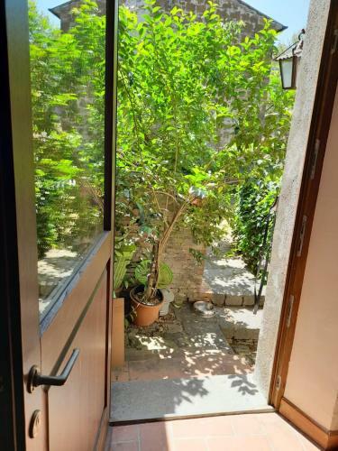 Agroturismo Casa Howard , Acquapendente