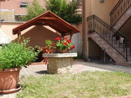 Kotyog� Apartmanok, Bog�cs