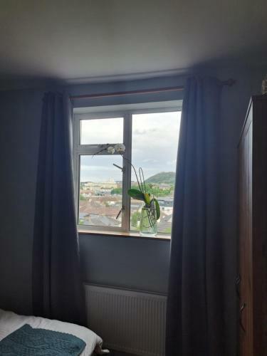 Bed & Breakfast Luxury B And B In Bray