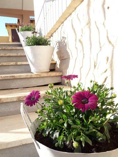 Bed & Breakfast Il Vaso Di Creta