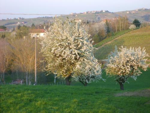 Agroturismo Cascina Longoria