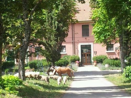 Agroturismo Country House Villa Delle Rose