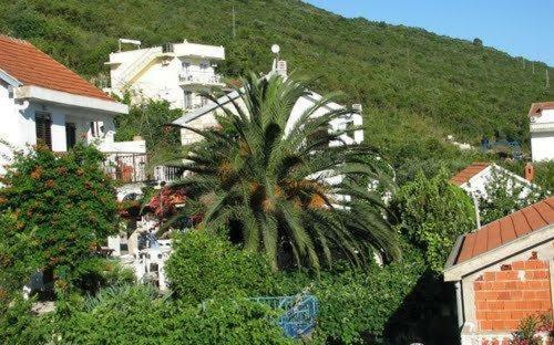 Seaview Apartments