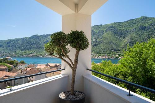 Aparthotel C Group Apartments