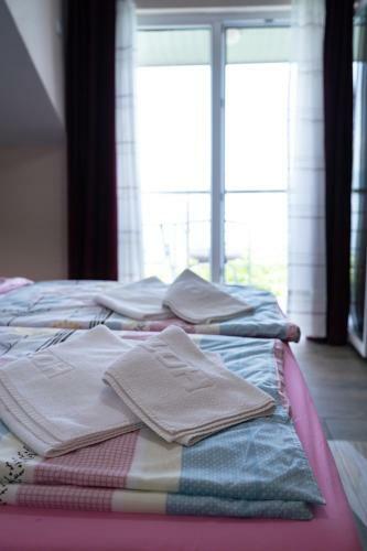 Bed & Breakfast Hotel Holiday-m