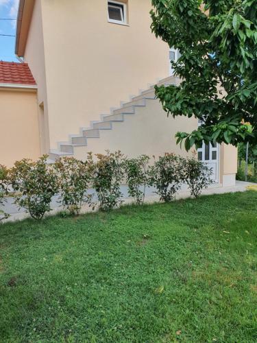 Apartman Tolosi 2