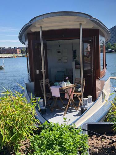 Houseboat Ms Rhy Blitz