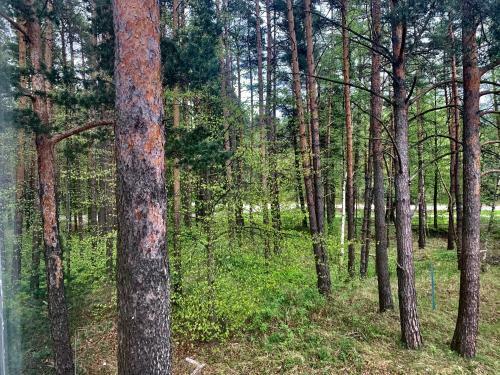 Albergue Factory Seaside Jurmala