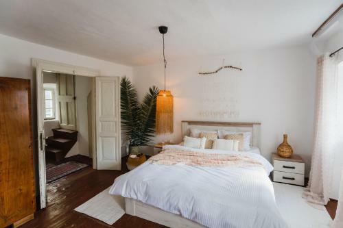 White Shutter House