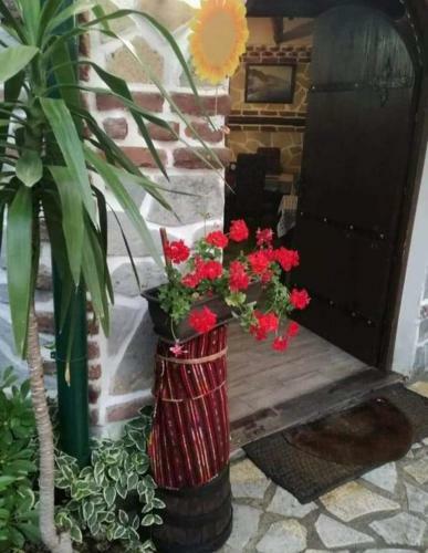 Apartamento Villa Sv.petka