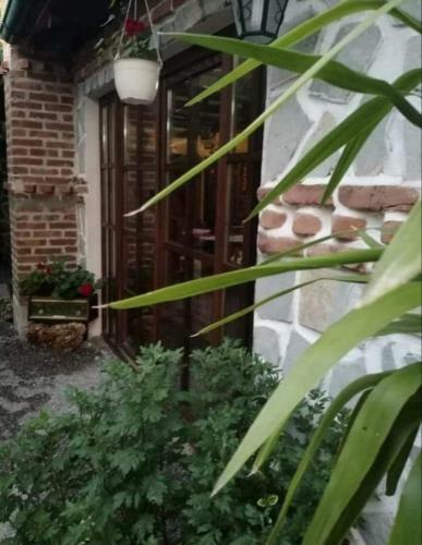 Apartamento Villa Sv.petka