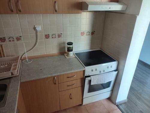 Sasa Apartment