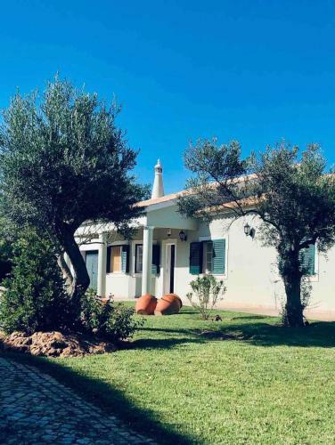 Olive Villa