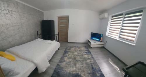 Apartament Andi 2