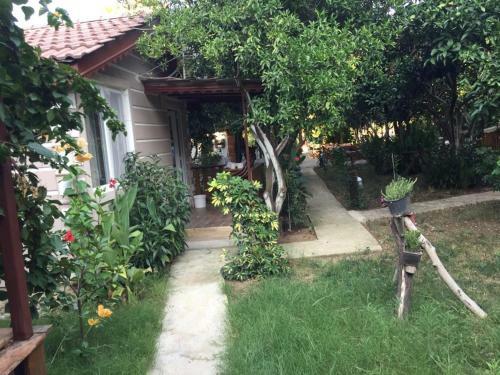 Bed & Breakfast Serenity Bungalow �amyuva