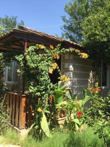 Bed & Breakfast Serenity Bungalow �amyuva