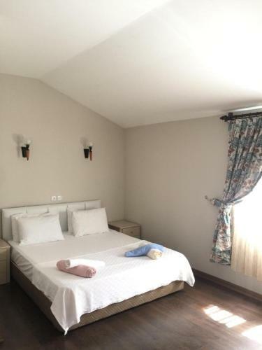 Bed & Breakfast Serenity Bungalow �amyuva