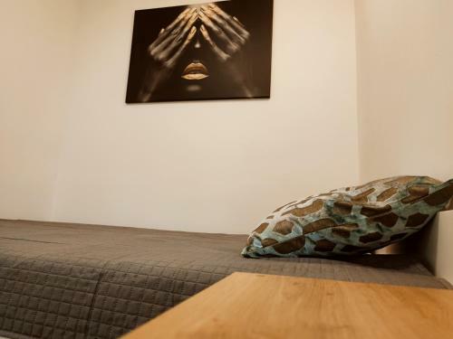Apartamenty Luna Bia?ystok Zwierzyniecka