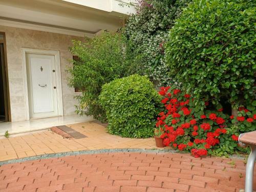 Apartamento 2-room Accommodation In A Luxury Resort