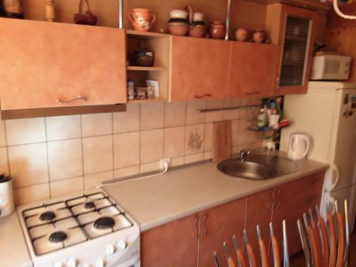Daiva Apartment