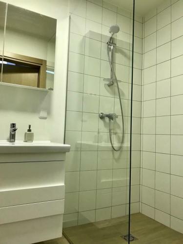 Maluno Vilos Apartamentai 1 Bedroom