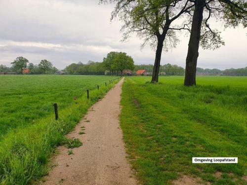 De Varkensstal