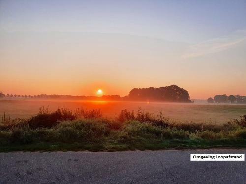 De Varkensstal