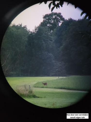 De Varkensstal