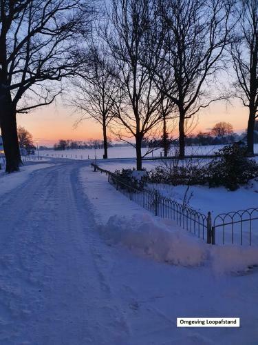 De Varkensstal
