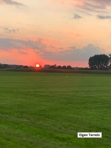 De Varkensstal