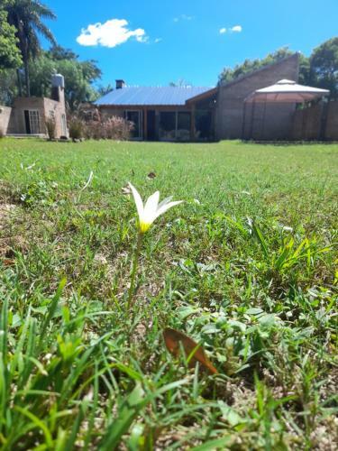 Bed & Breakfast Loreto Guest House Yayetopa