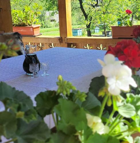 Agroturismo Breb 335 Accomodation & Garden