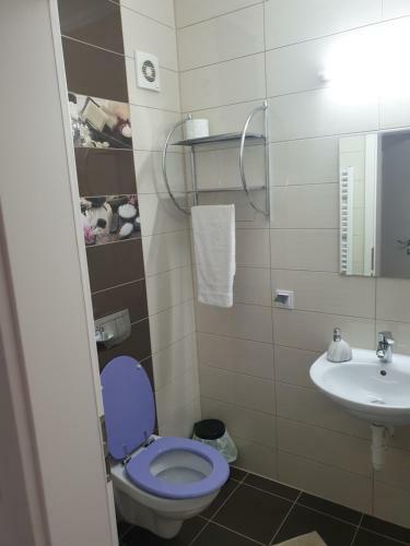 Matei Apartament Coressi
