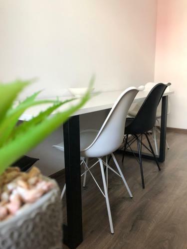Max Apartament