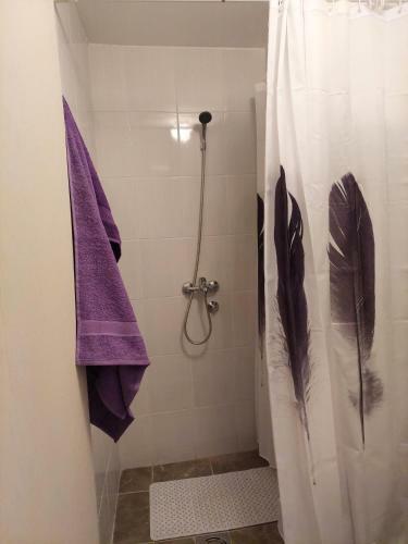 Apartman Centar