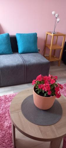 Apartman Maki 1