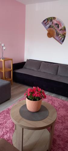 Apartman Maki 1