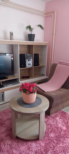Apartman Maki 1