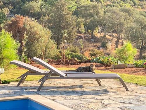Tiny House Bodrum Yal?�iftlik Ciftlikno50