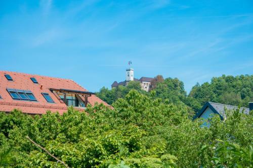 Castle View Apartment