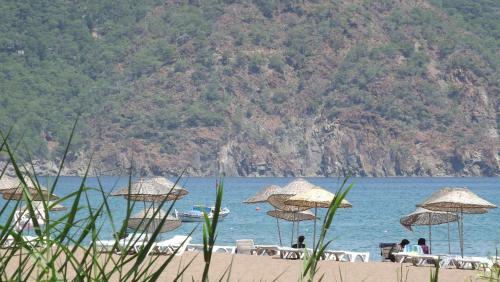 Zebu Hotel Adrasan